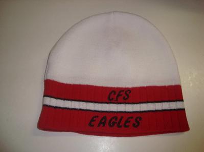 CFS Winter Cap 1